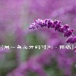 春天的风38
