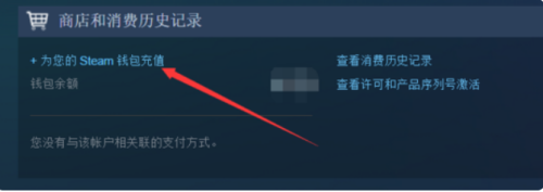 Steam充值码获取：快速获得高额折扣！