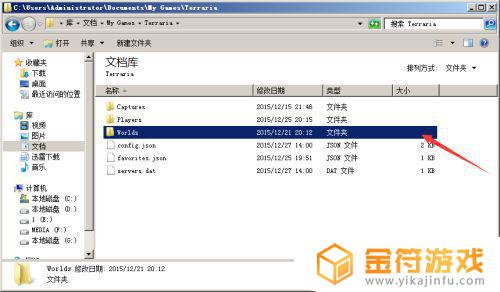 泰拉瑞亚全道具存档安装到哪里 泰拉瑞亚全物品存档导入教程