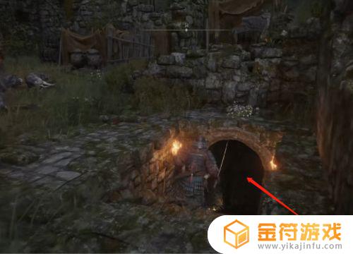 艾尔登法环无法使用战灰 