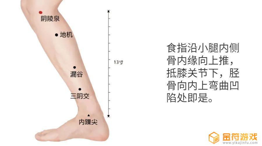 湿气重舌苔白厚腻 湿气重舌苔白厚腻要吃多久的药