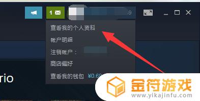 steam公开隐私设置 steam隐私公开怎么设置