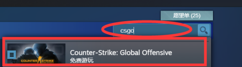 csgo是哪里的游戏 csgo哪国的游戏