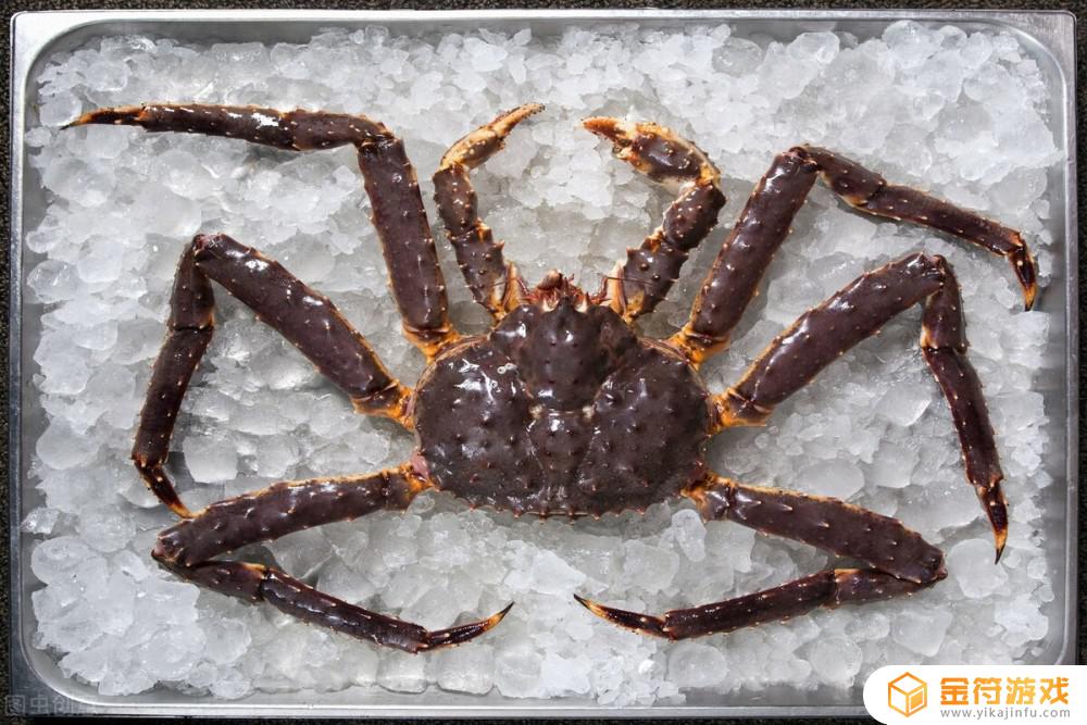 世界上最大螃蟹 世界上最大螃蟹的图片
