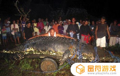 世界上最大的鳄鱼王 世界上最大的鳄鱼王图片