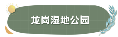 龙岗有什么好玩的地方推荐一下 龙岗有啥好玩的地方