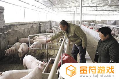 中国哪个省野猪最多 中国哪个省野猪最多排名