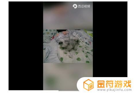 如何在海尔电视上看抖音不投屏(如何在海尔电视上看抖音不投屏呢)