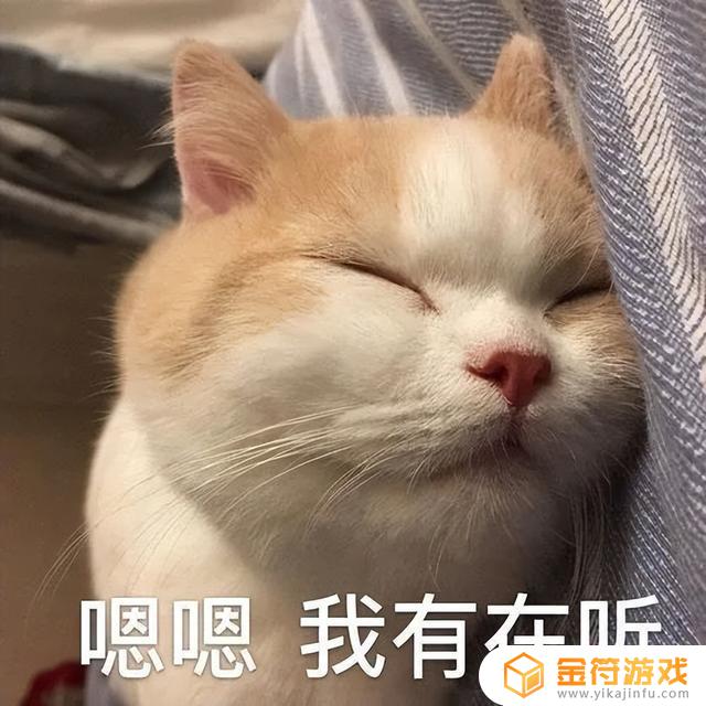 小猫抖音要不行(小猫咪抖音)