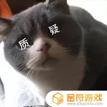 小猫抖音要不行(小猫咪抖音)