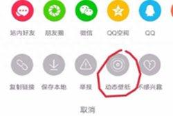 抖音怎么查看自己设置的动态壁纸作者信息