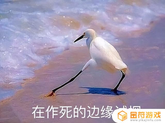 腾讯会议开麦克风刷抖音(腾讯会议开麦克风刷抖音能听到吗)