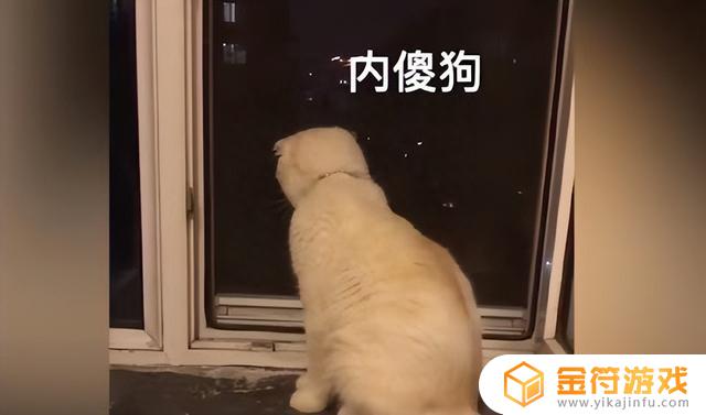 小猫我啊抖音新配音