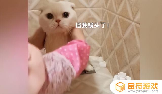 小猫我啊抖音新配音