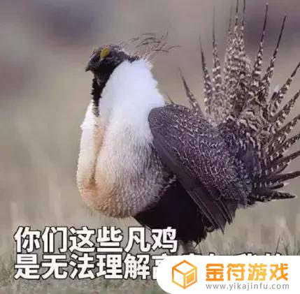 为什么有的抖音不能搜到趣测星球小程序(为什么有的抖音不能搜到趣测星球小程序呢)