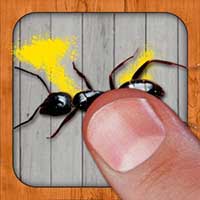 Ant Smasher Best Free Game 8.30