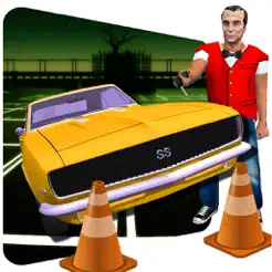 代客 汽车 停車處 游戏 2017年app苹果版
