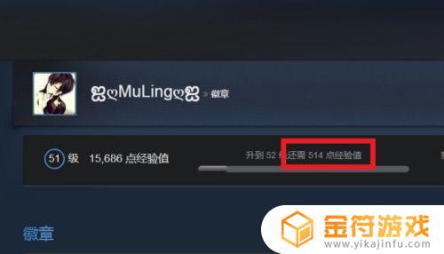 steam经验卡 STEAM如何升级账户