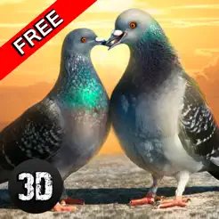 鸽子鸟生存模拟器3D苹果最新版