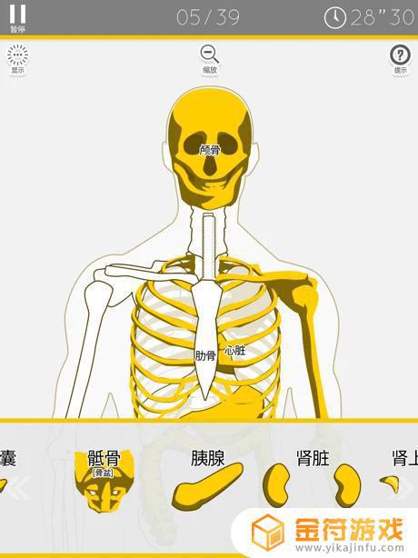 解剖拼图苹果版下载安装