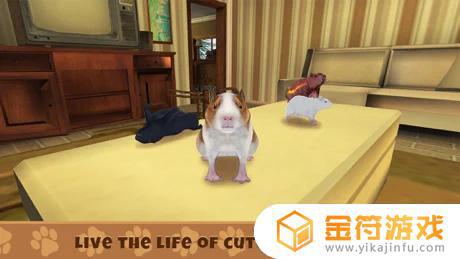 豚鼠模拟游戏苹果版下载