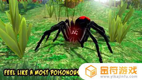 黑寡妇昆虫蜘蛛生命模拟器苹果版下载安装
