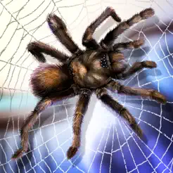 蜘蛛宠物生活模拟器3D苹果最新版