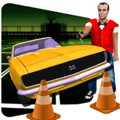 代客 汽车 停車處 游戏 2017年苹果版