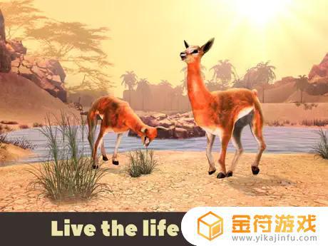 美洲驼野生动物模拟器3Dapp苹果版