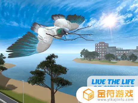鸽子鸟生存模拟器3D苹果版下载