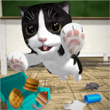 凯蒂卡夫猫咪模拟器手机游戏