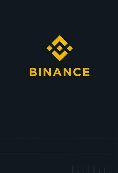 binance交易所下载中文版