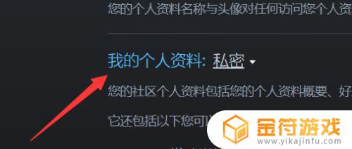 怎么公开steam资料 steam资料怎么完全公开