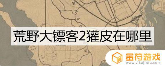 荒野大镖客2獾皮怎么打 荒野大镖客2獾皮用途