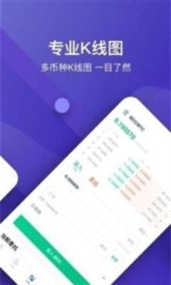 星图交易所app最新版下载2024苹果版