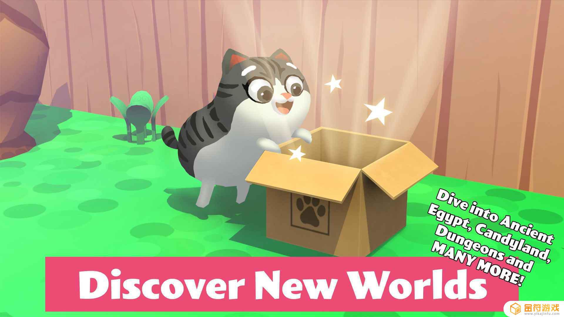 猫小盒2最新版下载