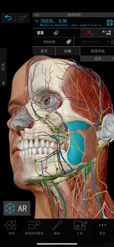 2021人体解剖学图谱app苹果版