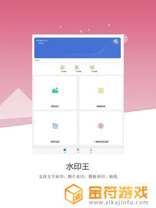 水印王app苹果版