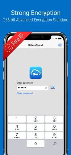 SafeInCloud Pro苹果版下载安装