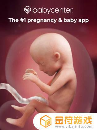Pregnancy Tracker苹果版下载安装