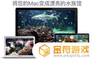 水族馆HD+苹果最新版下载