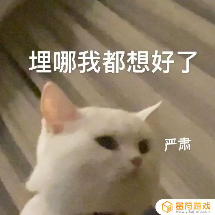 光·遇我不理解